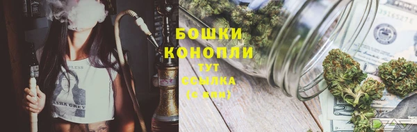 ГАЛЛЮЦИНОГЕННЫЕ ГРИБЫ Абинск