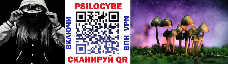 Галлюциногенные грибы мухоморы Новокубанск