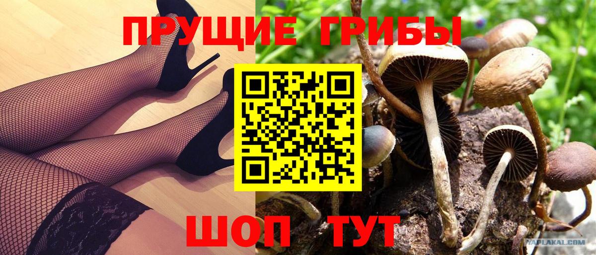 Галлюциногенные грибы Magic Shrooms Новокубанск