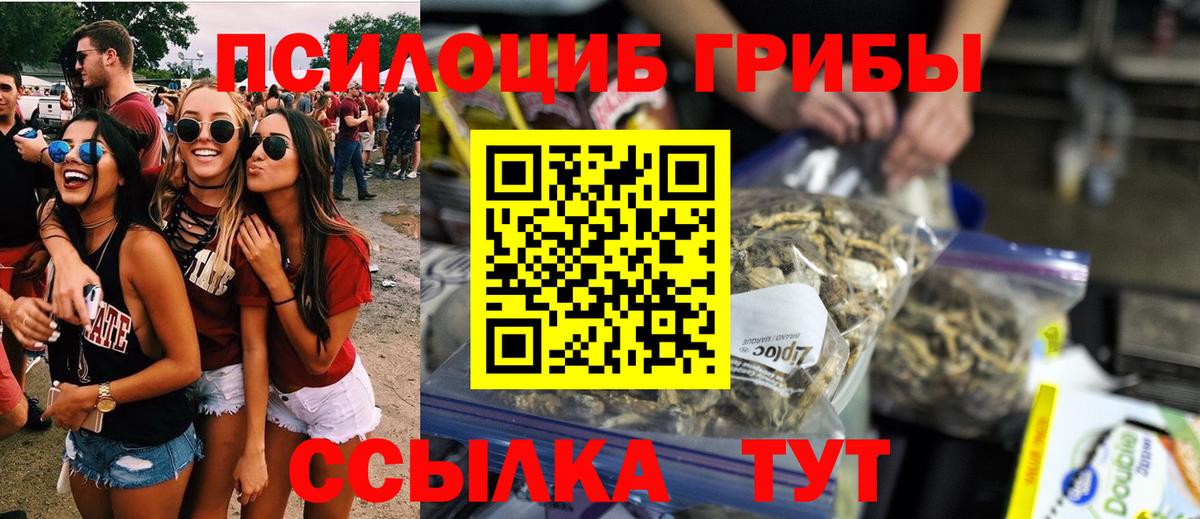 Новокубанск  Галлюциногенные грибы Magic Shrooms  цены   Вход с VPN 